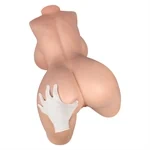 בובת מין טורסו ווניס עם חזה גדול Vaniss BBW 4